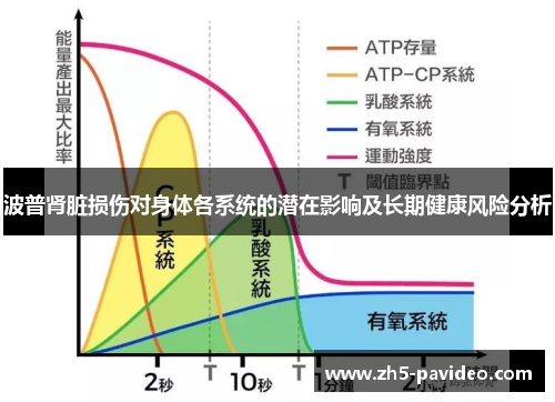 波普肾脏损伤对身体各系统的潜在影响及长期健康风险分析