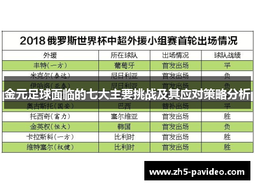金元足球面临的七大主要挑战及其应对策略分析